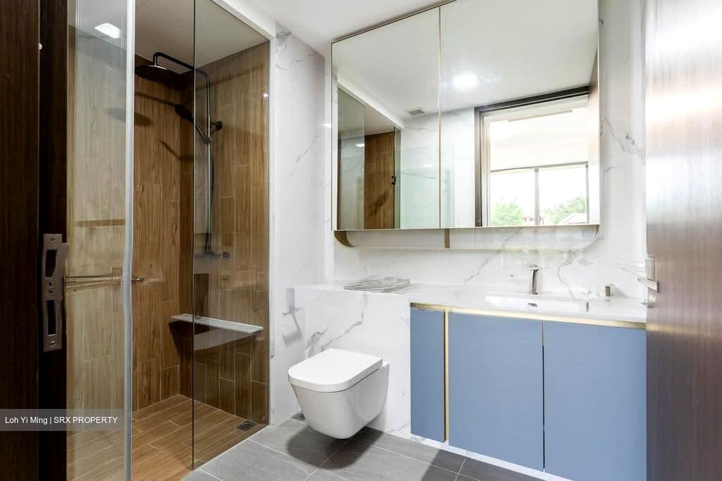 Amo Residence (D20), Apartment #612078211